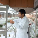 TISSUE CULTURE